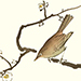 Seiho Takeuchi Gallery